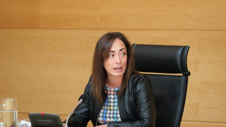 Ciudadanos propone eliminar las incompatibilidades para las ayudas a las familias dependientes de Castilla y León