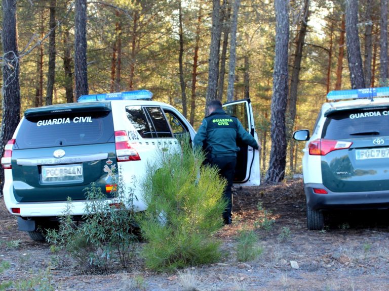 La Guardia Civil investiga a dos personas vecinos de Laguna de Duero por cortar las orejas de su perro