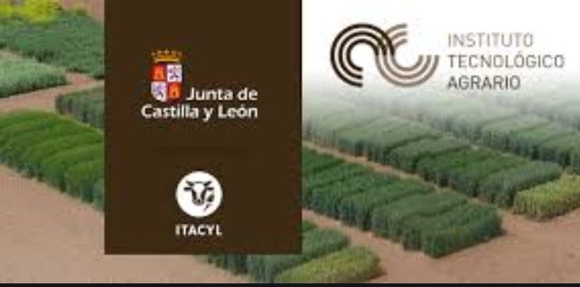 Guerra abierta entre las C?maras de Comercio y C?maras Agrarias por las subvenciones