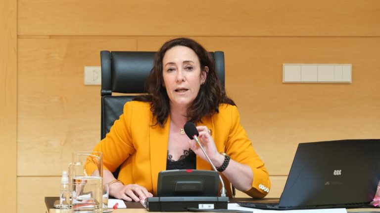 El PSOE pide al Consejo de Cuentas que modifique su Plan de Fiscalizaciones de 2020 para incluir los gastos provocados por el Covid-19