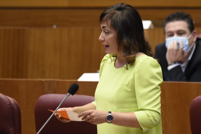 Gago (Cs): ?Debemos recuperar la confianza de los que nos visitan y poner a CyL a la cabeza del turismo interior?