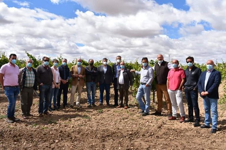 El Consejero de Agricultura visita Nava del Rey donde ha explicado la vendimia en verde a los viticultores