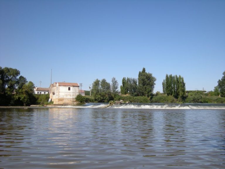 Se busca un cocodrilo visto en el cruce entre el río Duero y el Pisuerga