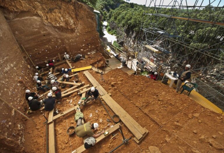 El Museo de la Evoluci?n Humana celebra su X aniversario como referente internacional y ejemplo de investigaci?n, difusi?n y conservaci?n al servicio de Castilla y León