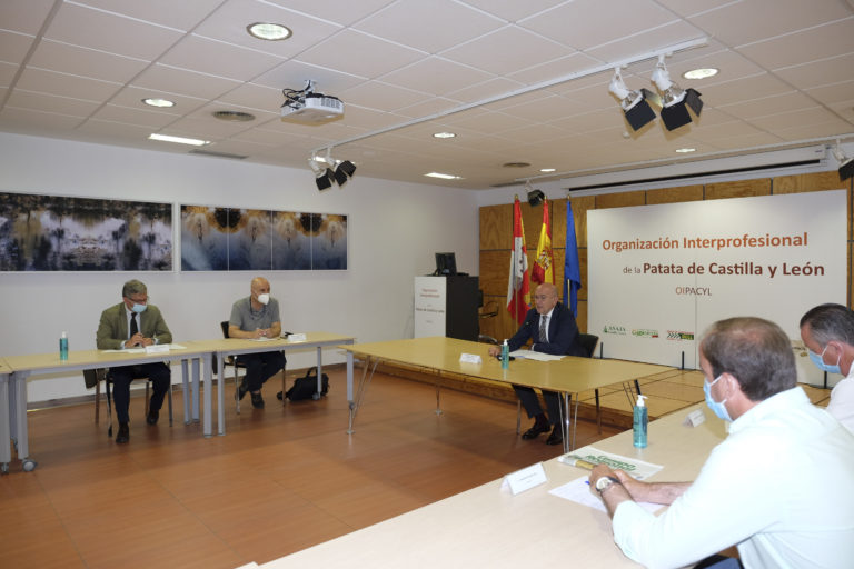 Nace la Interprofesional de la patata de Castilla y León, única asociación de este tipo en toda España