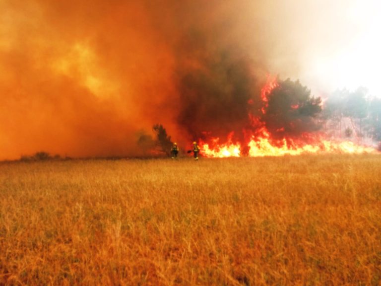 Bajan a nivel 0 los incendios de Valdelageve y Magaz de Cepeda