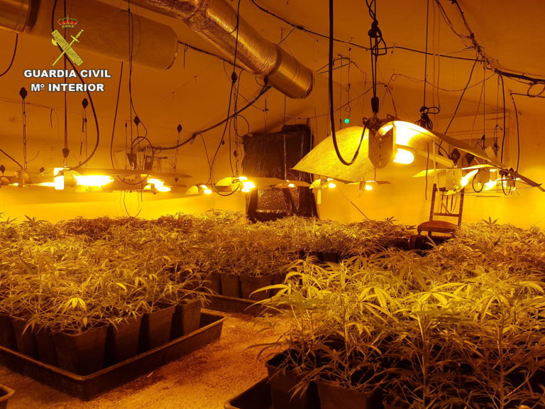 La Guardia Civil desmantela una plantación “indoor” de marihuana con 368 plantas vivas