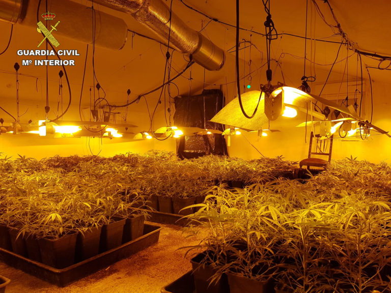 La Guardia Civil desmantela una plantaci?n ?indoor? de marihuana con 368 plantas vivas