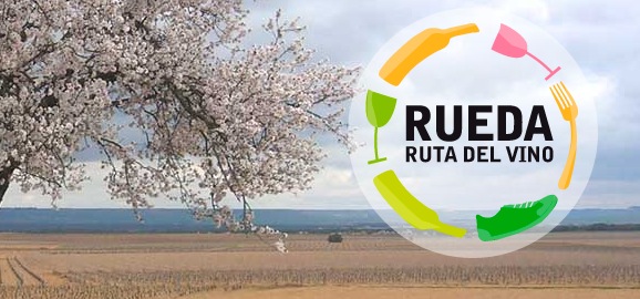 La Ruta del Vino de Rueda, finalista en los V Premios Enoturismo de España