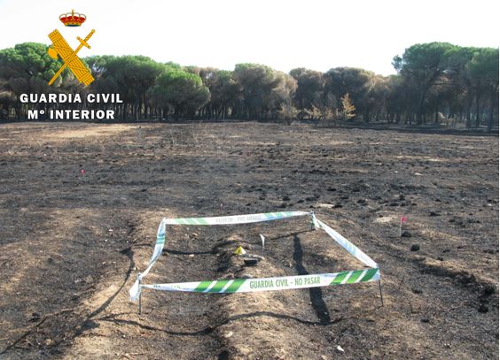 La Guardia Civil investiga a cinco personas como responsables del incendio forestal de Simancas