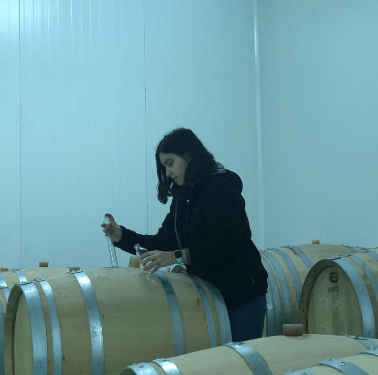 La funci?n de la enolog?a como guardiana de la tradici?n vin?cola