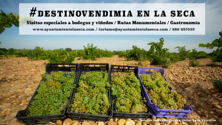 El Ayuntamiento de La Seca aprovecha la ?poca de la vendimia para promocionarse como destino turistico