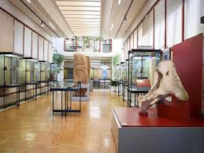 El Museo Numantino acoge una exposici?n sobre el transporte tradicional en la provincia de Soria