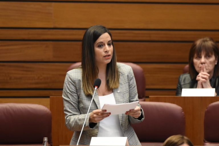 El PSOE abandona la negociaci?n del «cheque servicio»