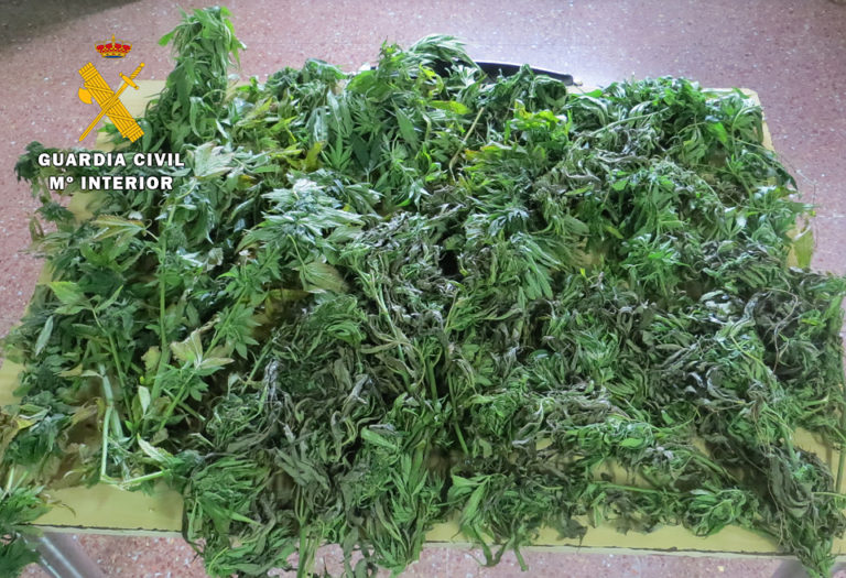 La Guardia Civil aprehende 3 kilogramos de marihuana transportados en un veh?culo