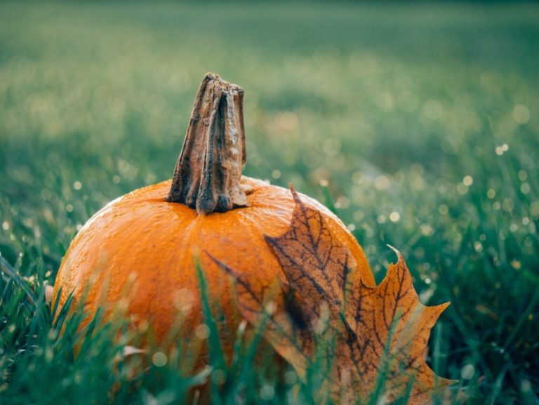 Vive Halloween en los pueblos de la comarca