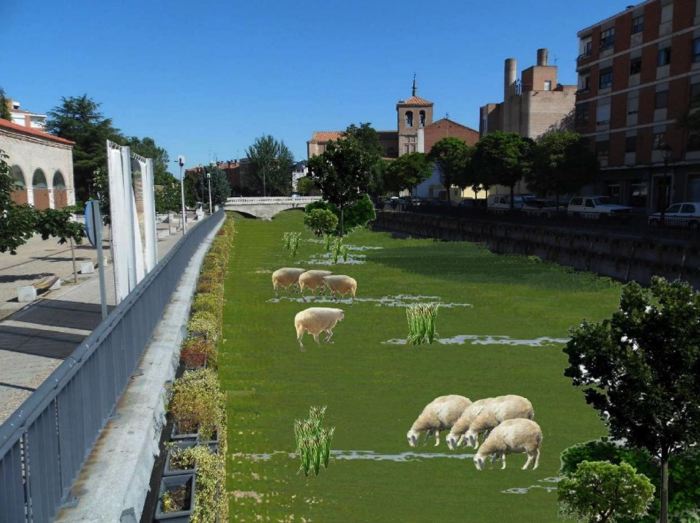 Medina del Campo: Suelo natural para el río Zapardiel, entre las propuestas del proyecto de Ecologistas en Acci