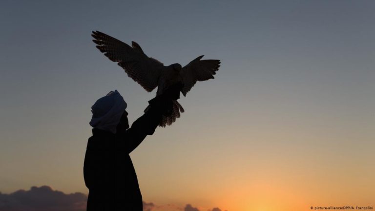 La Audiencia absuelve al criador de halcones acusado de falsedad y estafa en la venta de 13 ejemplares a un sult?n de Dub