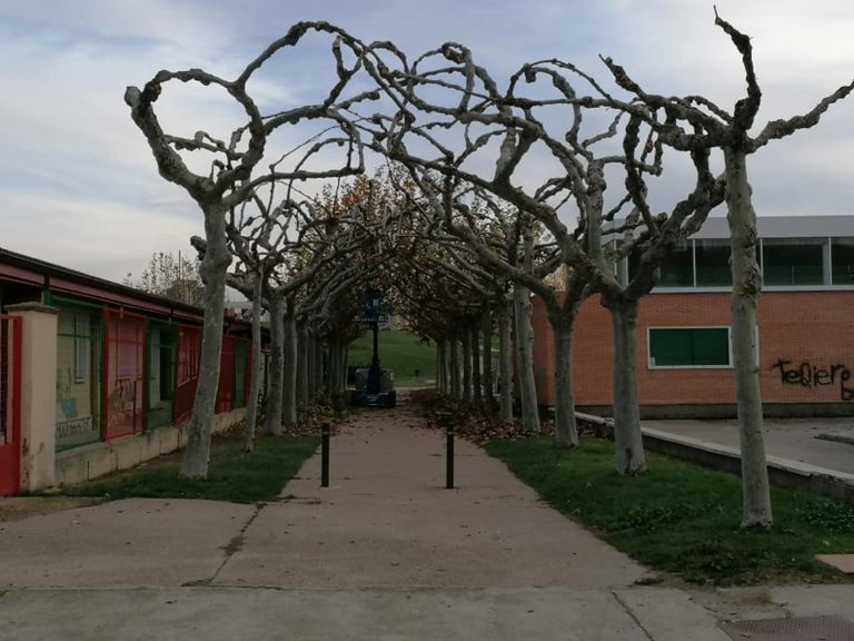 Comienzan los trabajos de mantenimiento y poda en Tordesillas