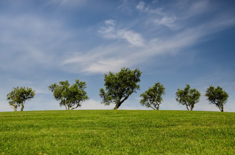 Medio ambiente en Castilla y León