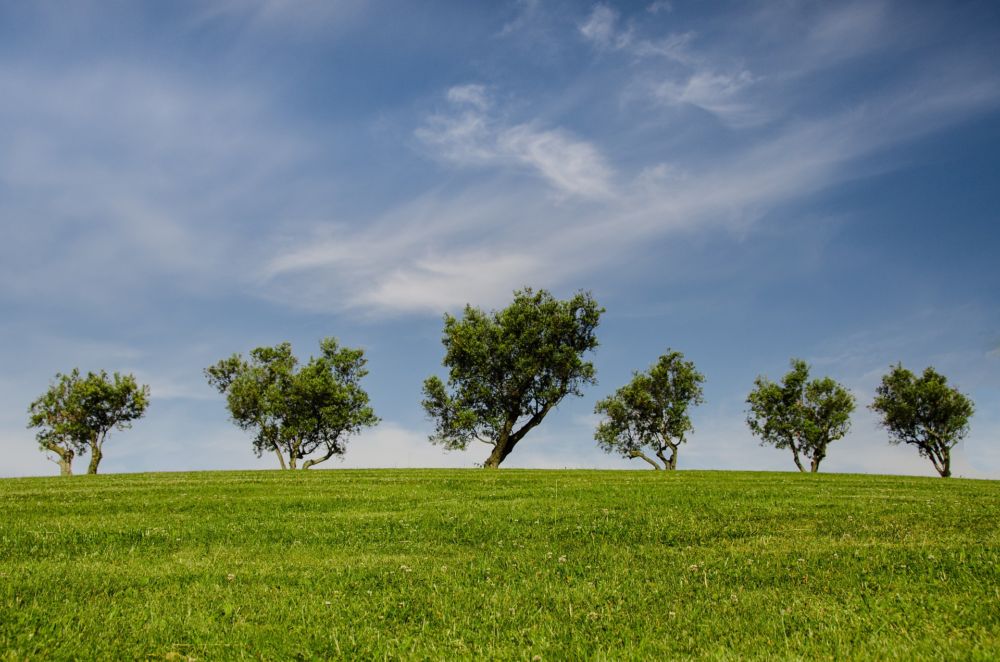 Medio ambiente en Castilla y León
