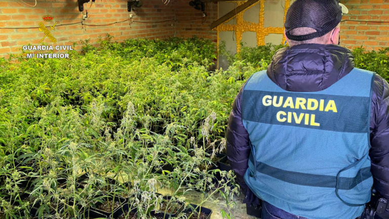 La Guardia Civil ha desmantelado una nave con 900 plantas de marihuana en la localidad de Villacid de Campos