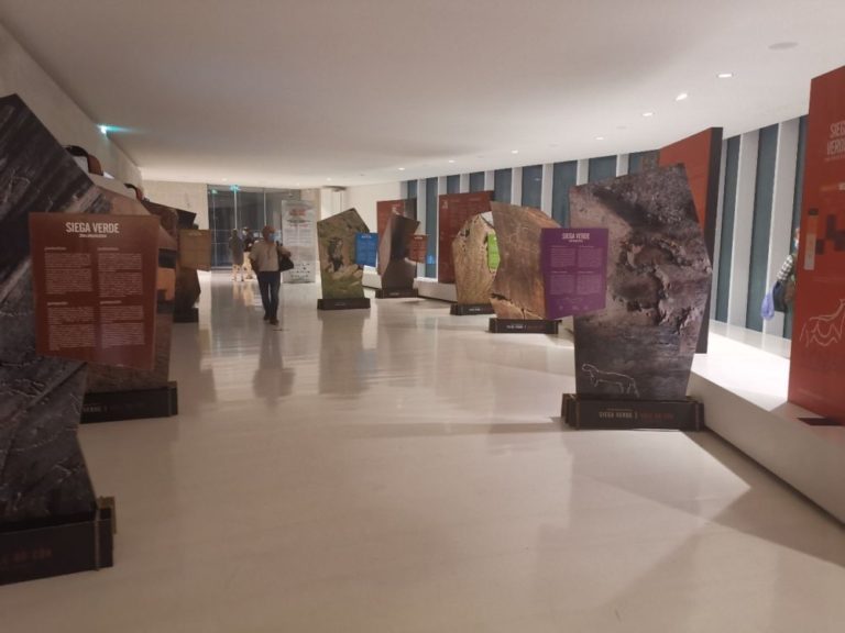 La Junta forma parte del nuevo Consejo Directivo del Itinerario Cultural ‘Caminos de Arte Rupestre Prehist?rico