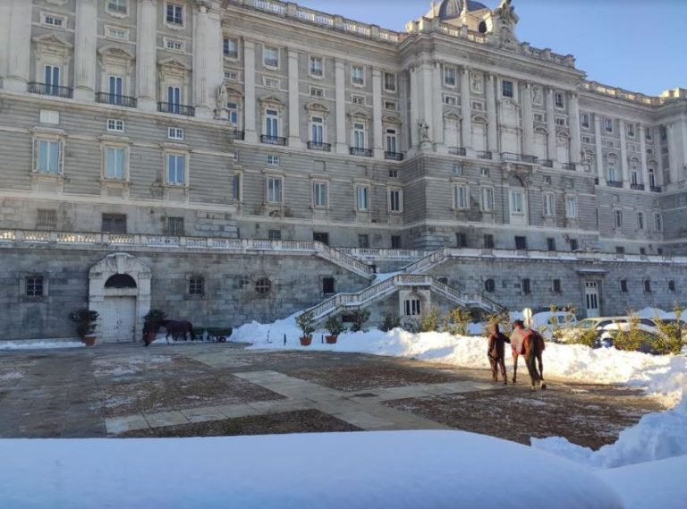 Patrimonio Nacional despeja de hielo y nieve una explanada del Palacio Real para evitar la muerte de sus caballos