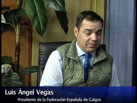 Última Hora del Campeonato de Españaña de Galgos – Luis Angel Vegas Presidente de la F.E.G