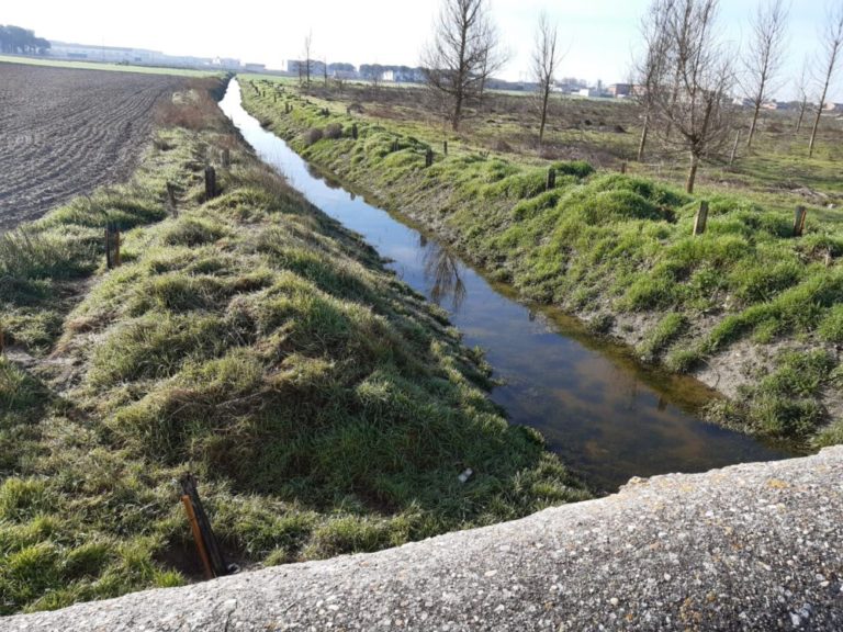 La CHD ha realizado labores de limpieza en el río Pirón en Íscar