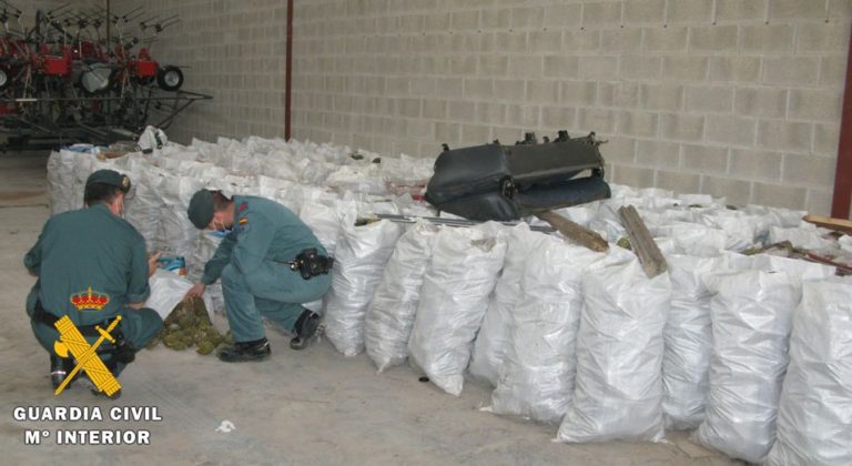 La Guardia Civil interviene 13.880 kilogramos de piñas piñoneras obtenidas ilegalmente