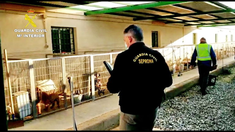 La Guardia Civil detiene al responsable de un criadero perros y a un veterinario por cortarles las cuerdas vocales a los animales