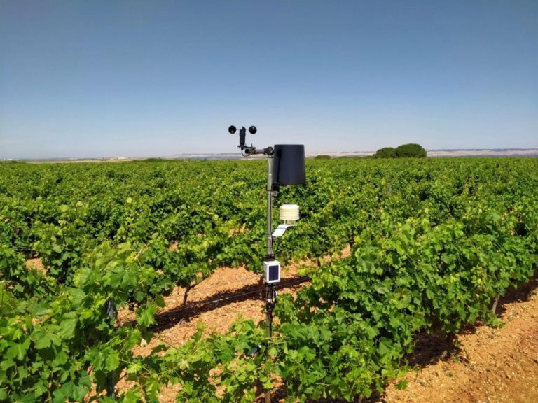 La D.O. RUEDA instala una de red de estaciones meteorológicas para controlar los viñedos desde el móvil
