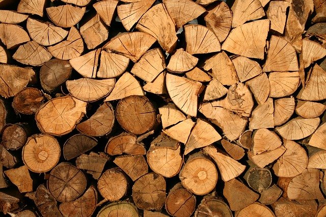 El 31 de marzo finaliza el plazo para presentar la declaración responsable de tala de árboles