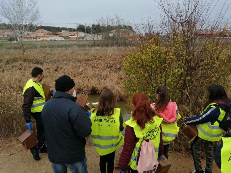El Ayuntamiento planta 500 árboles más para Medina del Campo