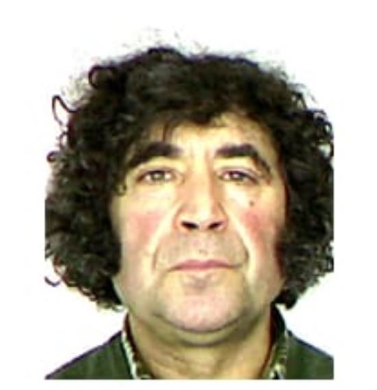 Hallan muerto en su domicilio al presunto homicida de su vecino de 84 años en Villanueva de Henares