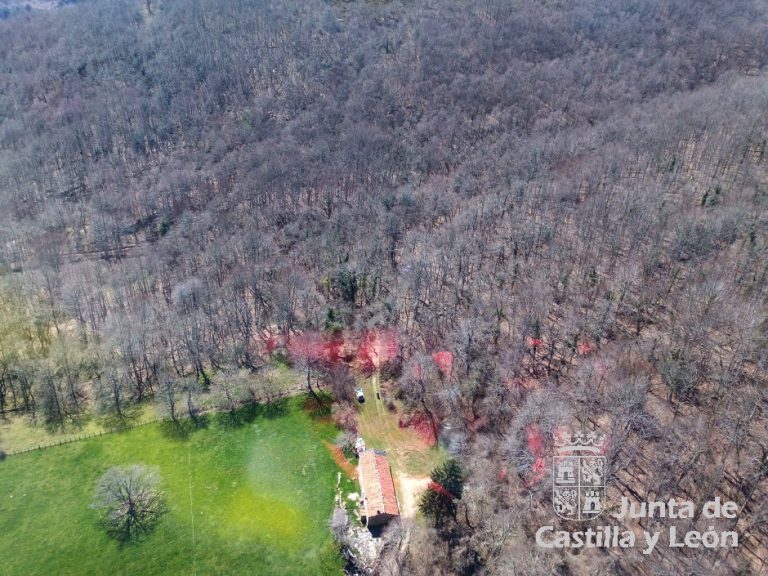 Herido un senderista al sufrir una caída en una zona de monte de Santelices