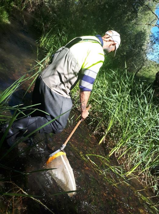 La CHD inicia los muestreos biológicos en 430 puntos de ríos de la cuenca