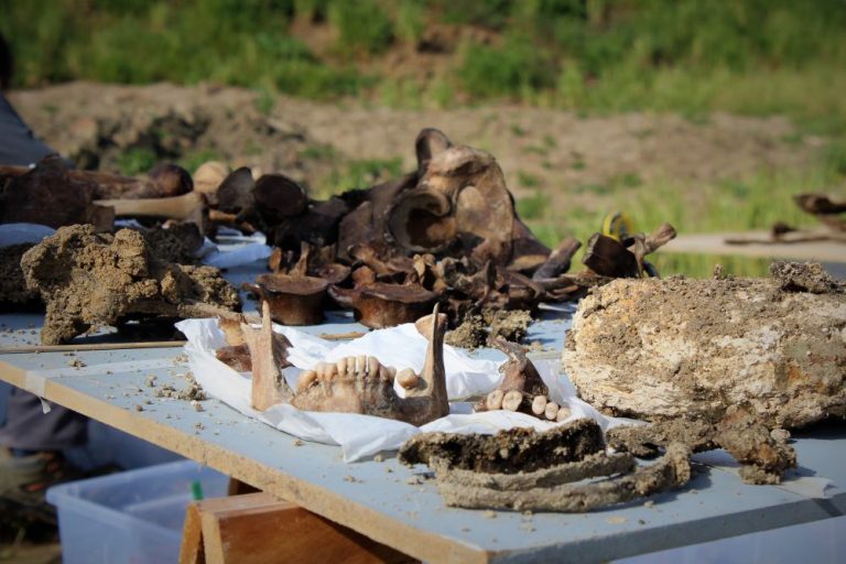 Los medinenses exhumados en ‘El Pozo’ permanecen en el cementerio vallisoletano de “El Carmen”