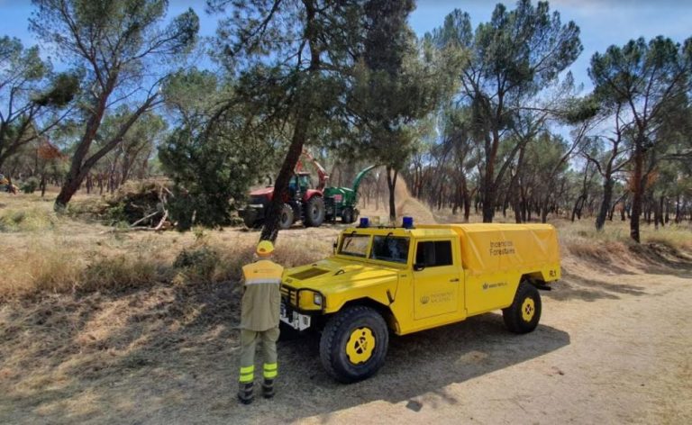 Patrimonio Nacional iniciará en junio su campaña de verano contra incendios forestales
