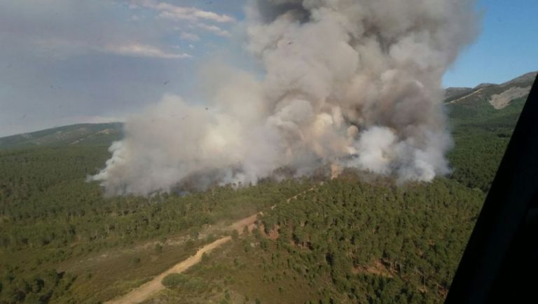 La Junta declara el peligro medio de incendios forestales en la Comunidad