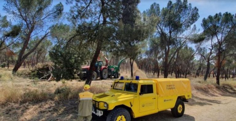 La Junta adjudica un servicio de retén de maquinaria para la prevención de incendios forestales