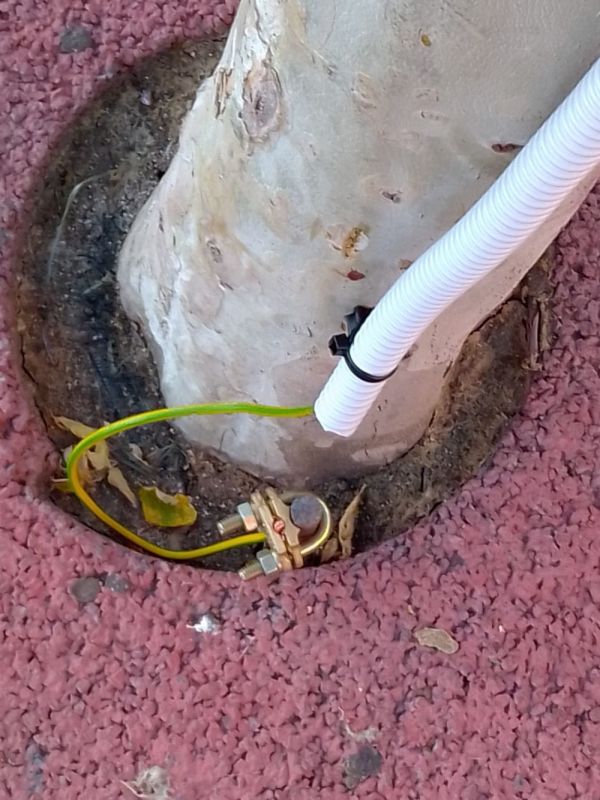 El PSOE denuncia falta de seguridad en la instalación eléctrica de la Plaza Mayor para San Antonio