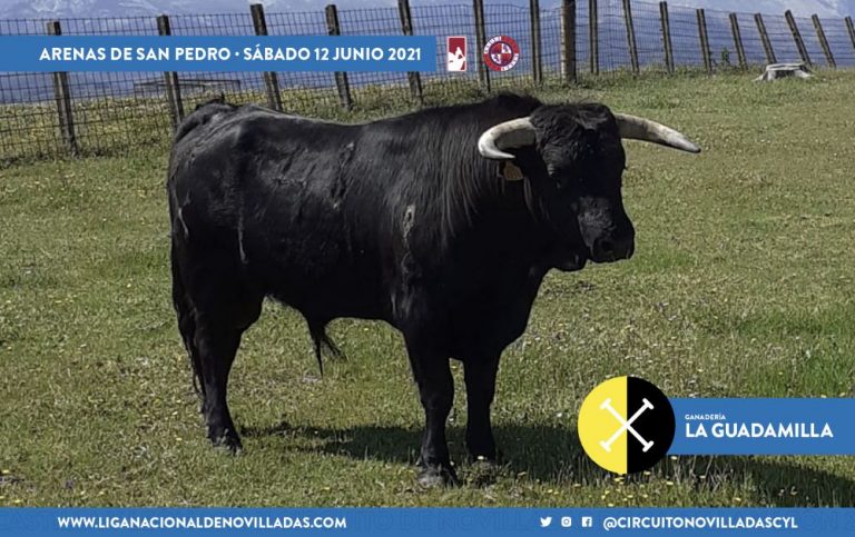 Los de Valdellán y Montalvo para la primera semifinal del Circuito de Castilla y León