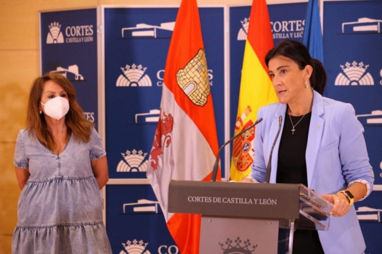 La Comisión de Investigación de las eólicas experimentará un impulso con 18 nuevas comparecencias en julio