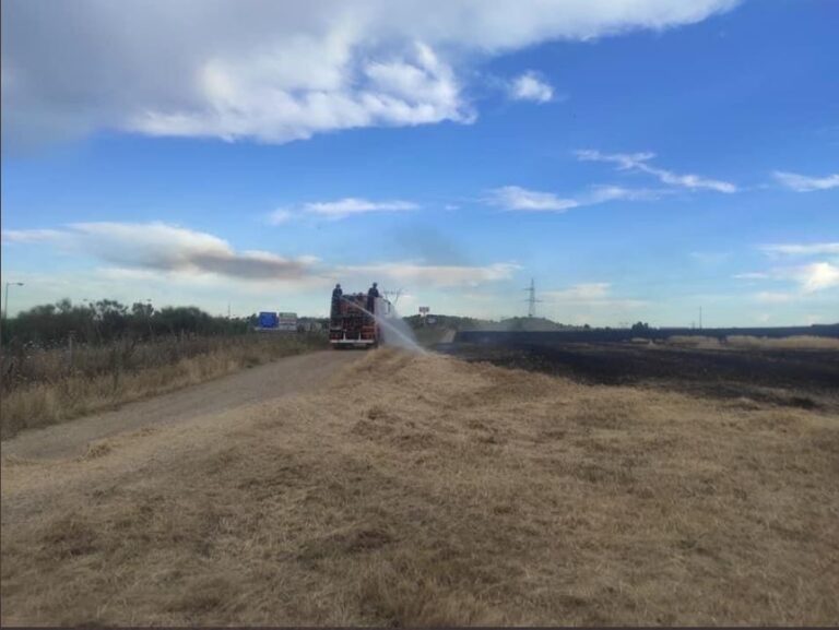 El fuego en una zona de cultivo en Zaratán genera una gran nube de humo negra
