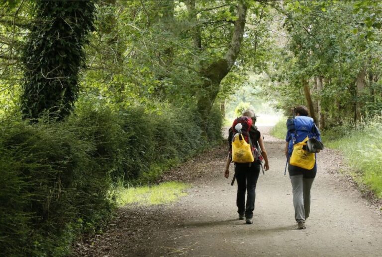 El fuego obliga a desaconsejar el paso de peregrinos por el Camino de Santiago en León