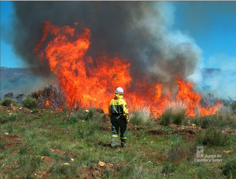 Declarada la situación de alarma ante el riesgo de incendios forestales en Castilla y León por la ola de calor