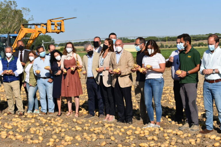 La Junta se marca como objetivo aumentar el consumo de la patata de Castilla y León