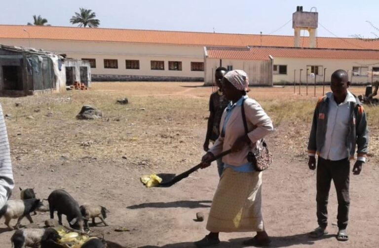 La parroquia de Olmedo asume su segundo proyecto solidario en Angola
